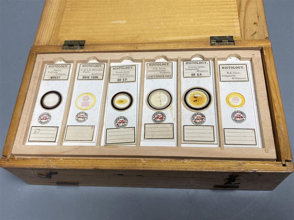 A collection of 48 histology slides contained in a fitted lightwood case,